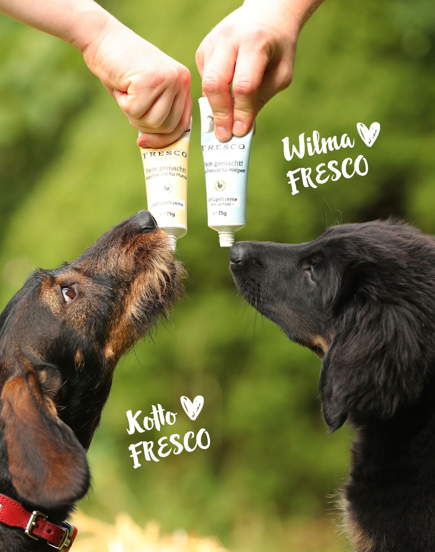 FRESCO - Fein gemacht - Geflügellebercreme für Hunde
