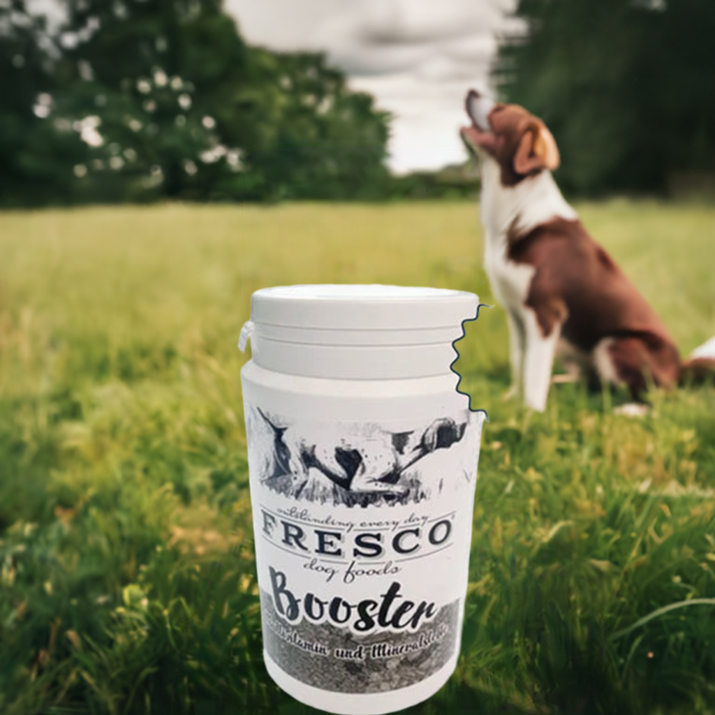 Fresco Booster Futter