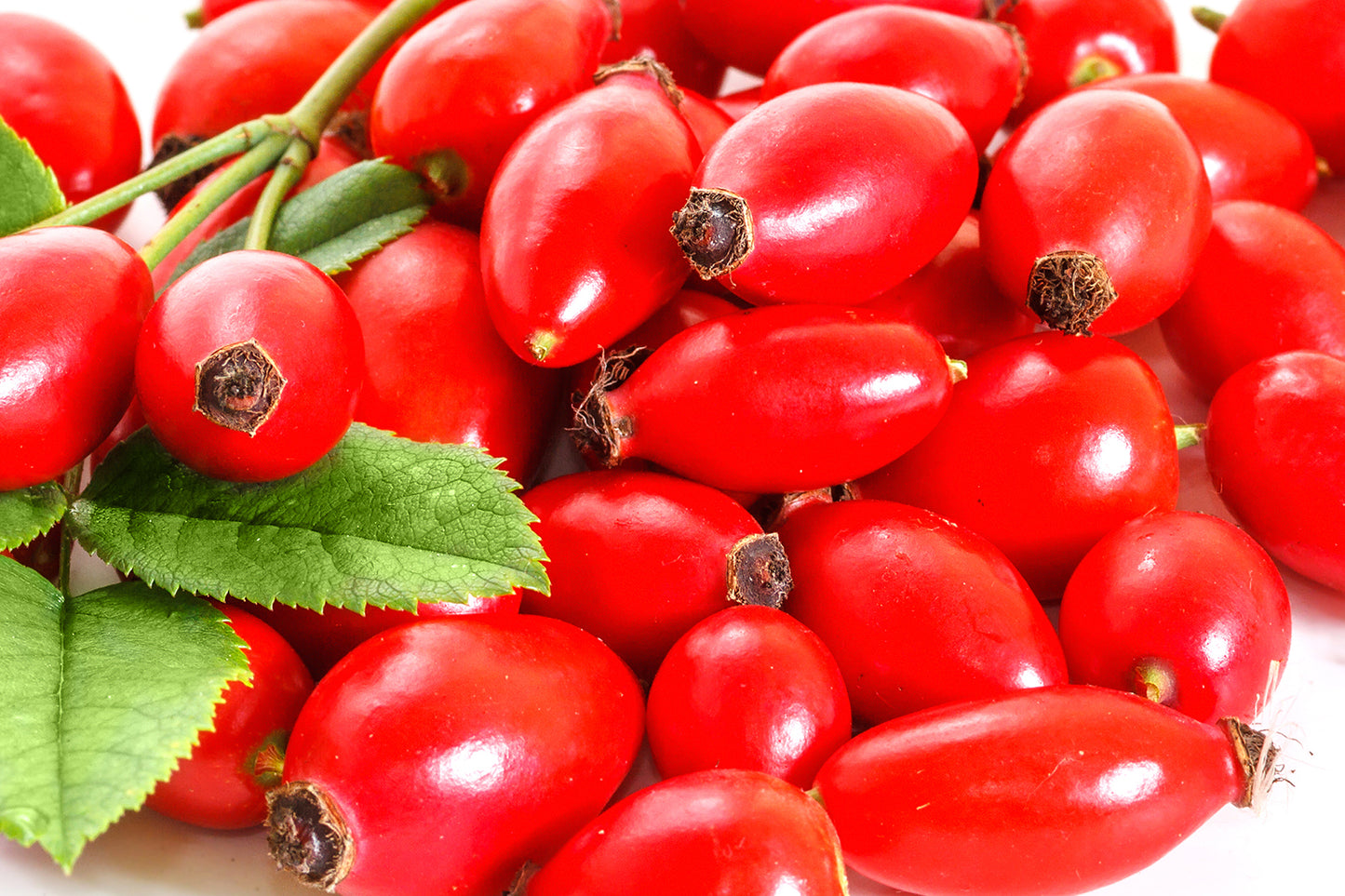 Fresco Hagebuttenpulver 250g