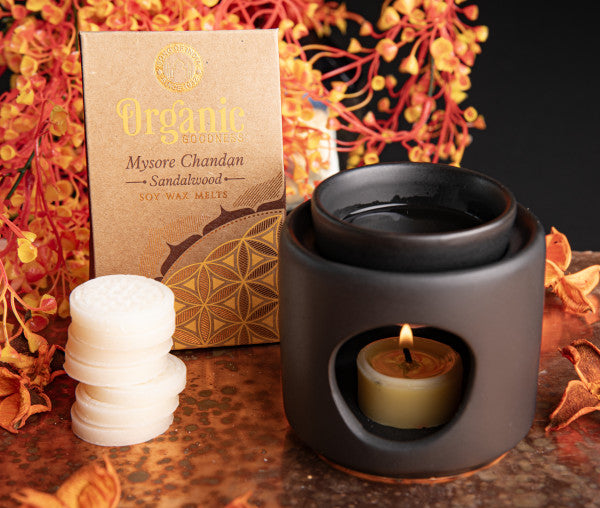 Wachstaler für Aromalampen Blume des Lebens mit Duftlampe Eleganzia