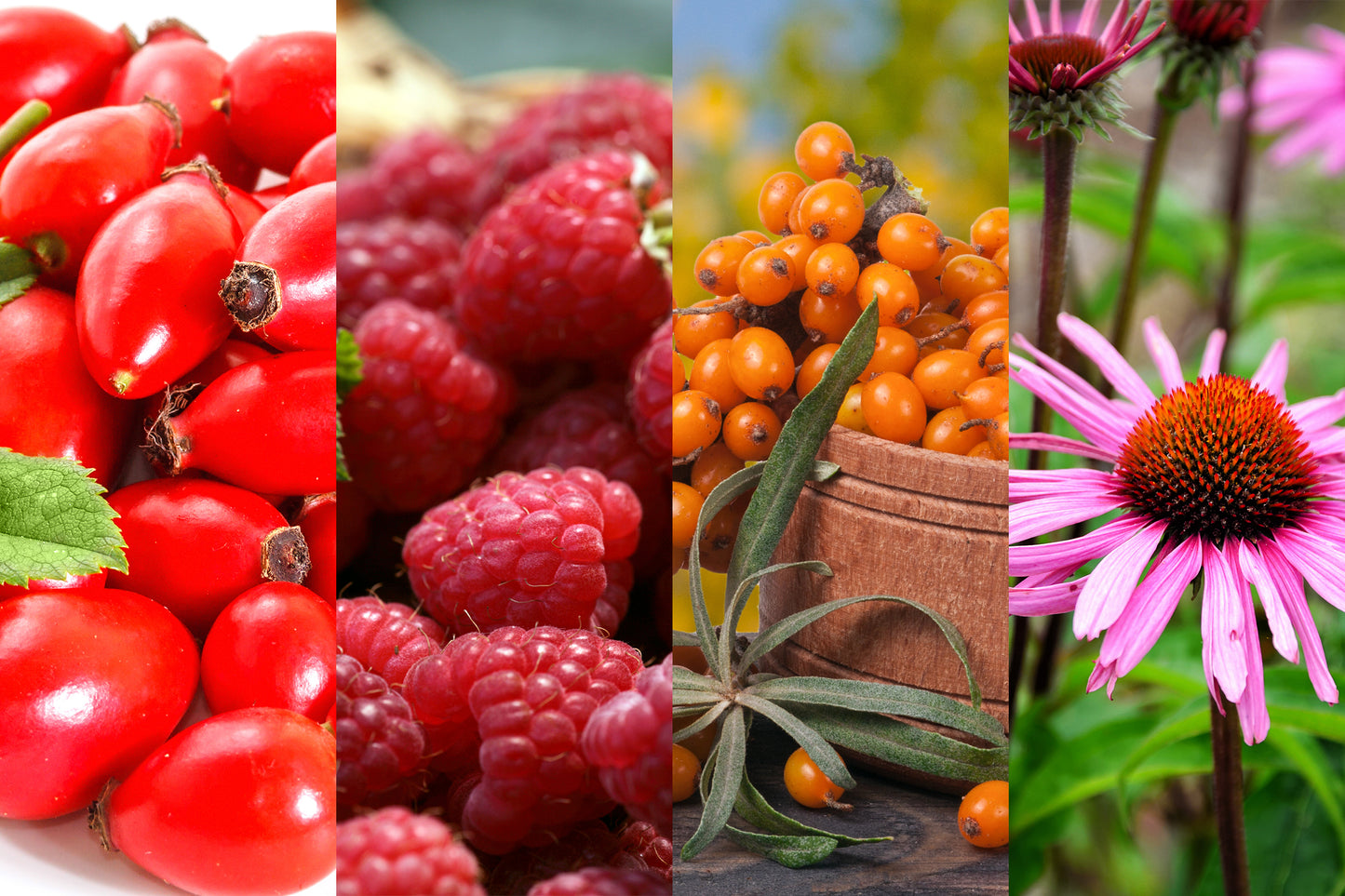 Fresco Kräutermischung Abwehrkraft 200g