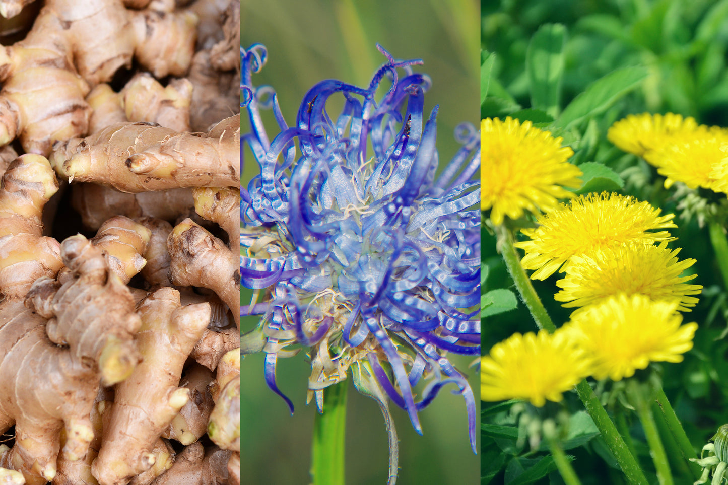 Fresco Kräutermischung Gelenke 200g