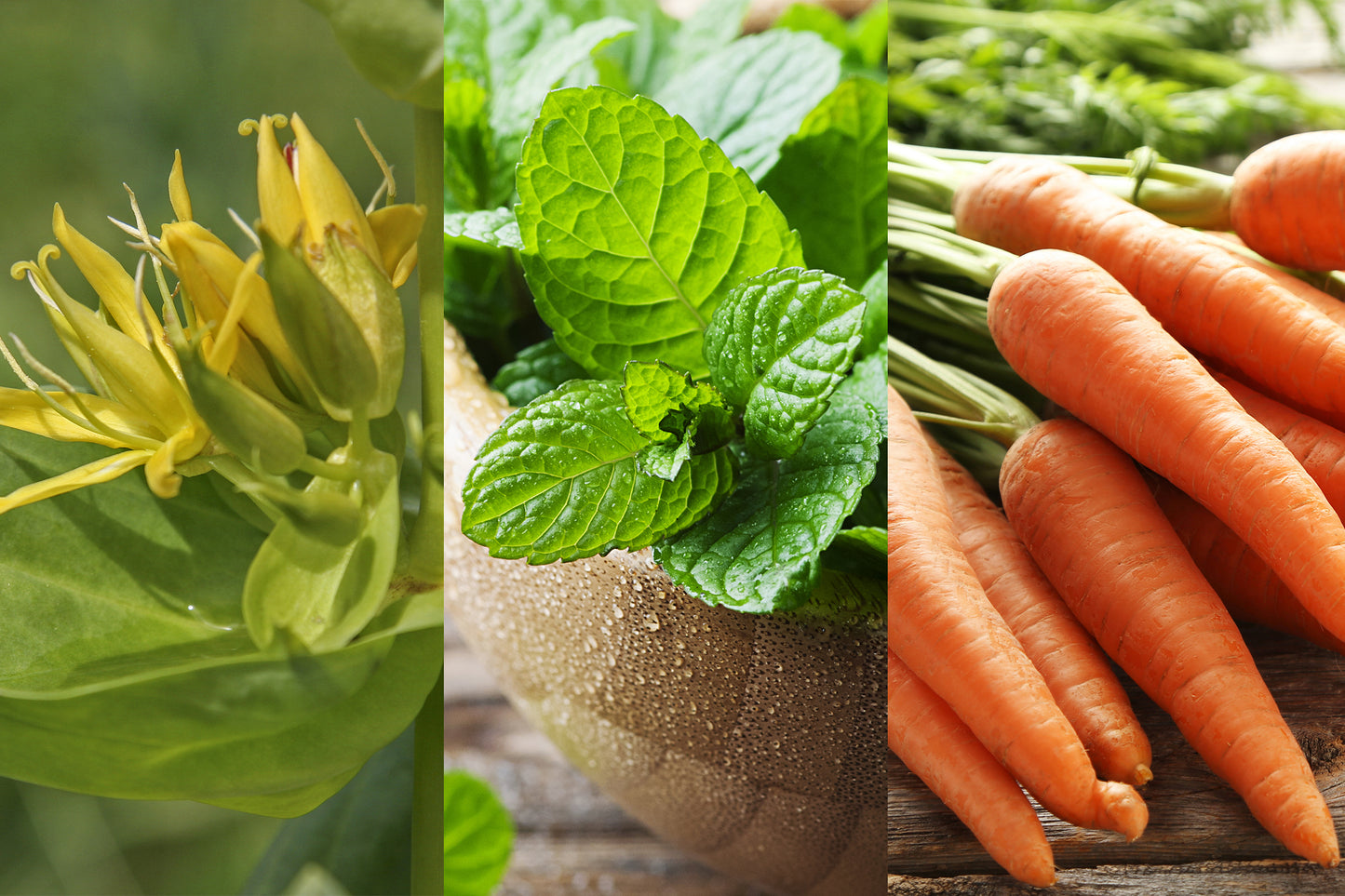 Fresco Magenbalance 200g