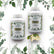 Weihrauch Boswellia serrata – 2 x 180 Kapseln